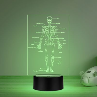 Skeleton of Human Body with Names 7 Color Changing Light with Remote Control